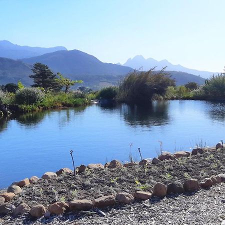 Gecko Cottage At Artemis Franschhoek Bagian luar foto