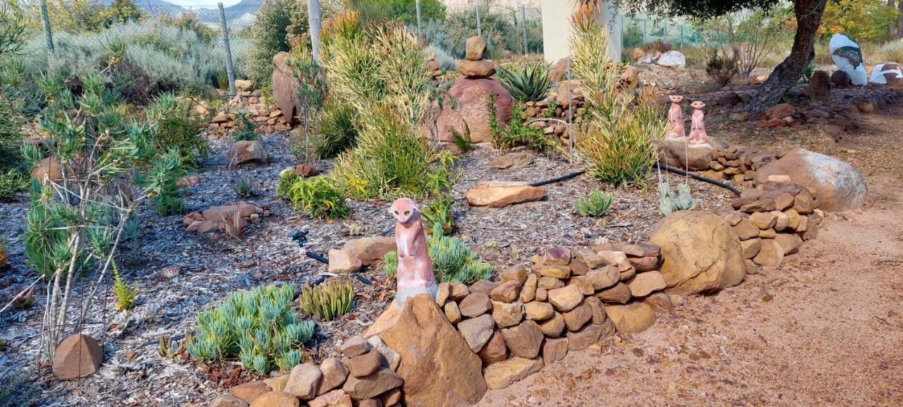 Gecko Cottage At Artemis Franschhoek Bagian luar foto