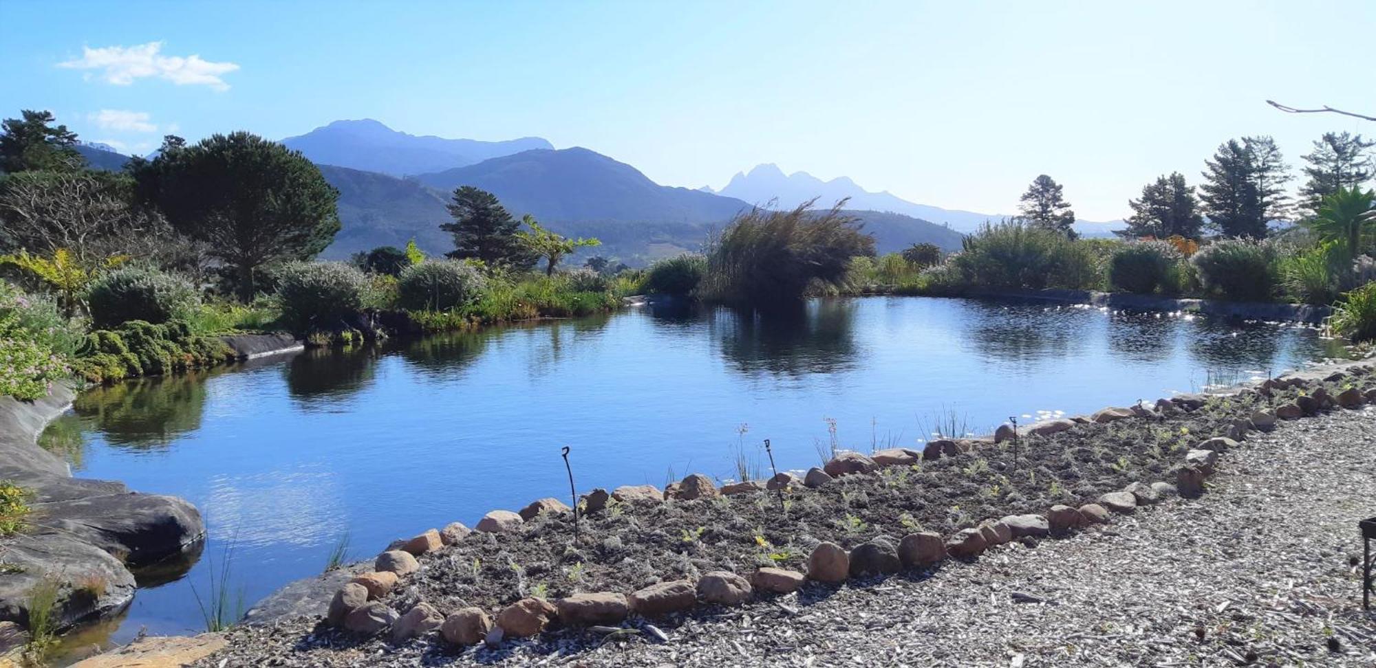 Gecko Cottage At Artemis Franschhoek Bagian luar foto
