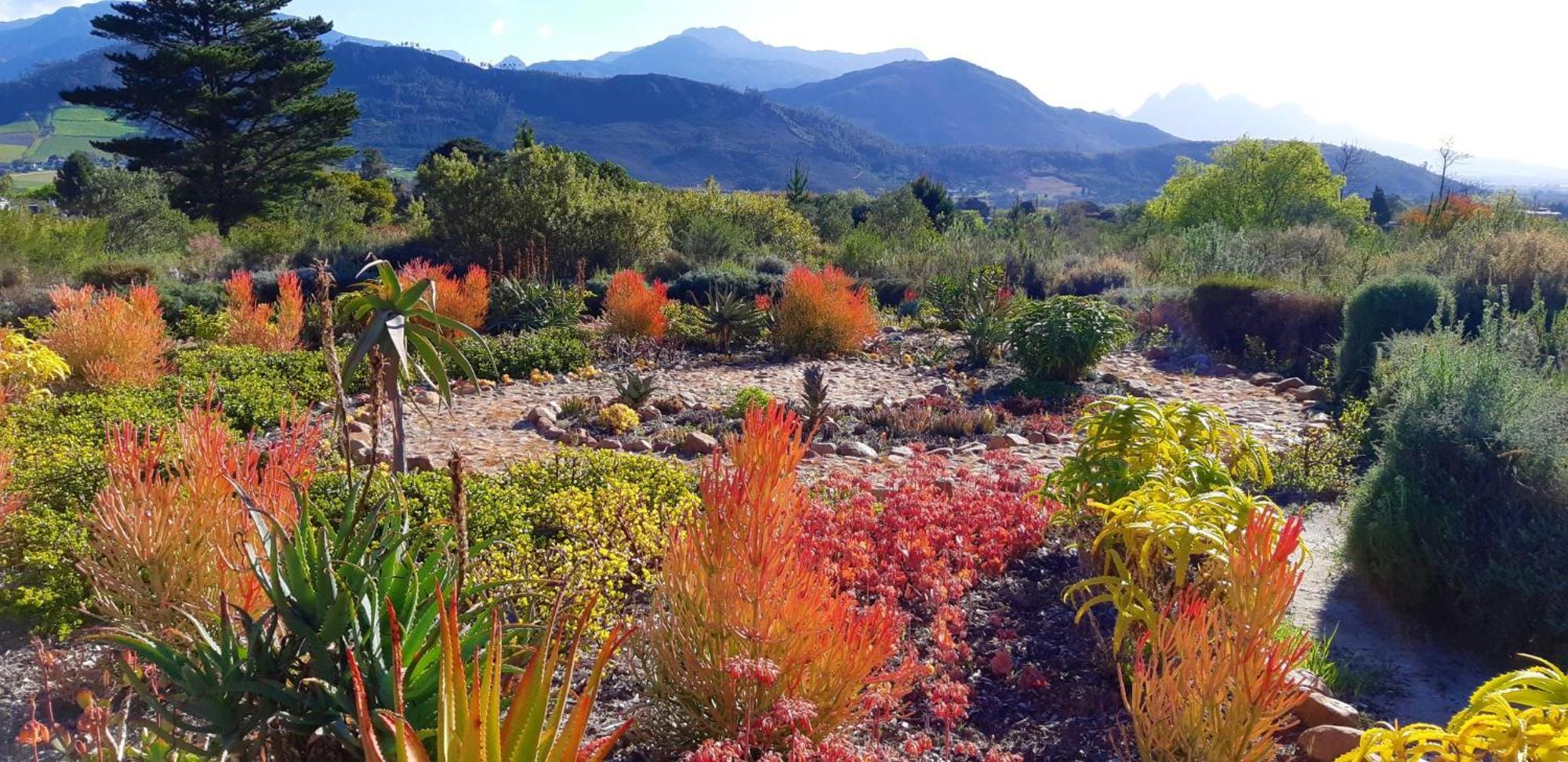 Gecko Cottage At Artemis Franschhoek Bagian luar foto
