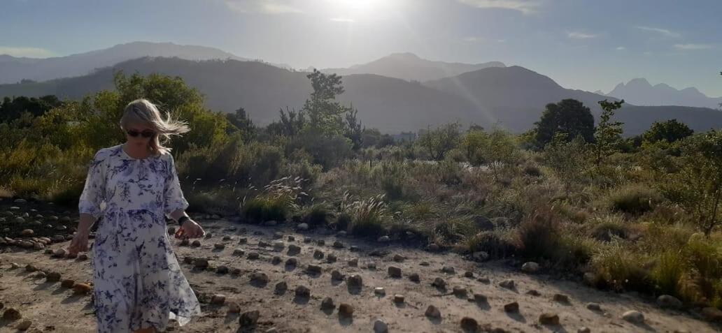 Gecko Cottage At Artemis Franschhoek Bagian luar foto