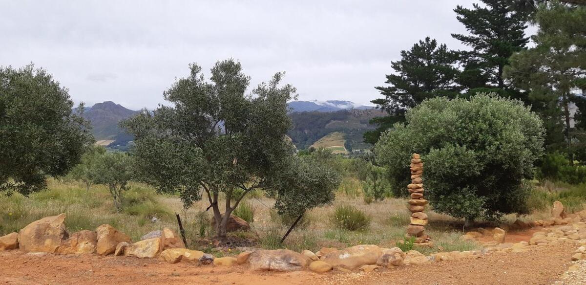 Gecko Cottage At Artemis Franschhoek Bagian luar foto